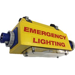 Emergency Service Light